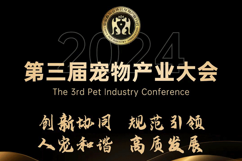 福貝寵食黃莉：時代變軌，用創(chuàng)新贏得市場，用洞察找到增長路徑