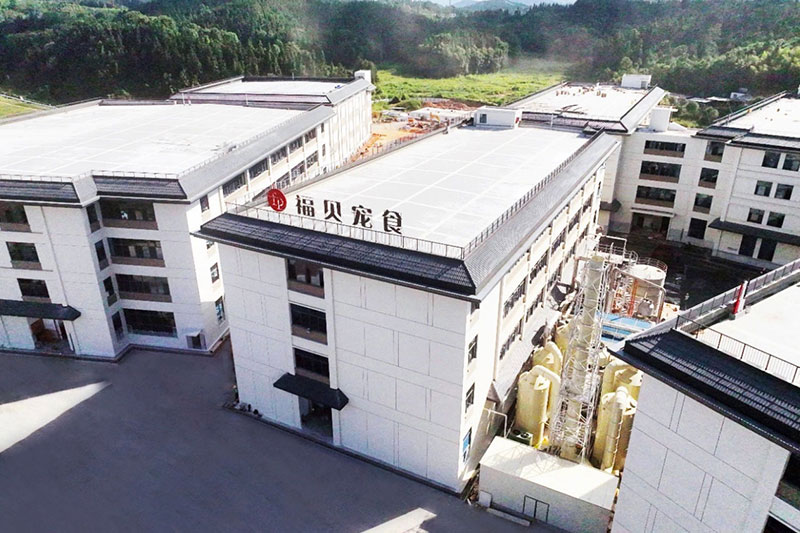 福貝內(nèi)修外練再落一子，聯(lián)合圣農(nóng)解決原材焦慮